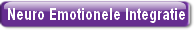 Neuro Emotionele Integratie